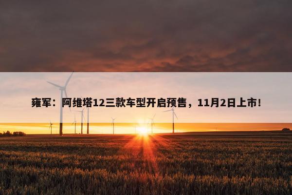 雍军：阿维塔12三款车型开启预售，11月2日上市！