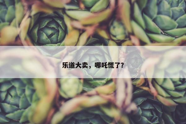 乐道大卖，哪吒慌了？