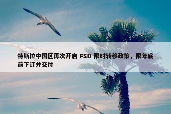 特斯拉中国区再次开启 FSD 限时转移政策，限年底前下订并交付