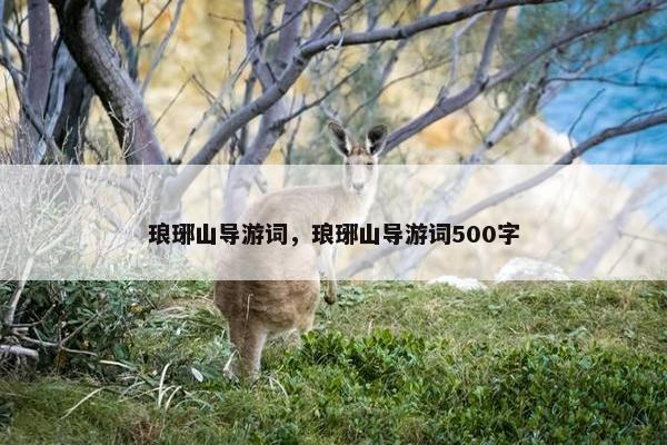 琅琊山导游词，琅琊山导游词500字