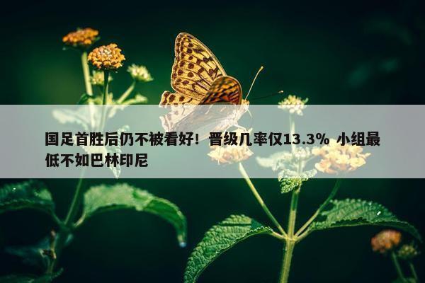 国足首胜后仍不被看好！晋级几率仅13.3％ 小组最低不如巴林印尼