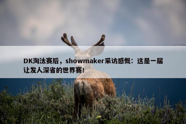 DK淘汰赛后，showmaker采访感慨：这是一届让发人深省的世界赛！