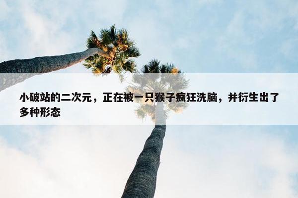 小破站的二次元，正在被一只猴子疯狂洗脑，并衍生出了多种形态