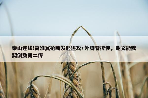 泰山连线!高准翼抢断发起进攻+外脚背撩传，谢文能默契倒数第二传