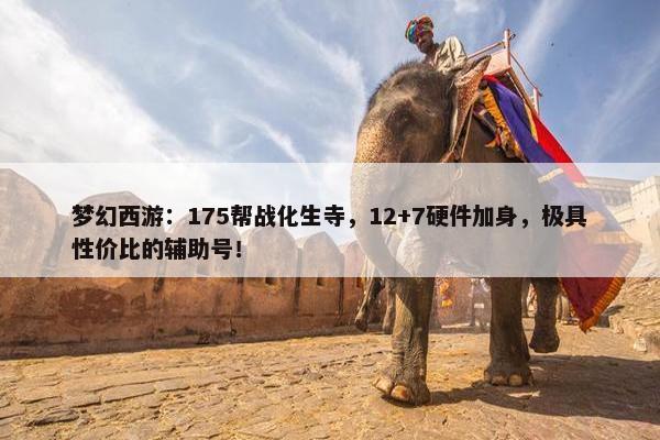 梦幻西游：175帮战化生寺，12+7硬件加身，极具性价比的辅助号！