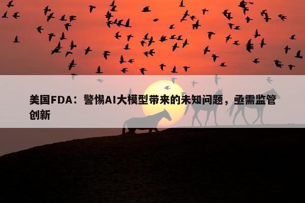 美国FDA：警惕AI大模型带来的未知问题，亟需监管创新