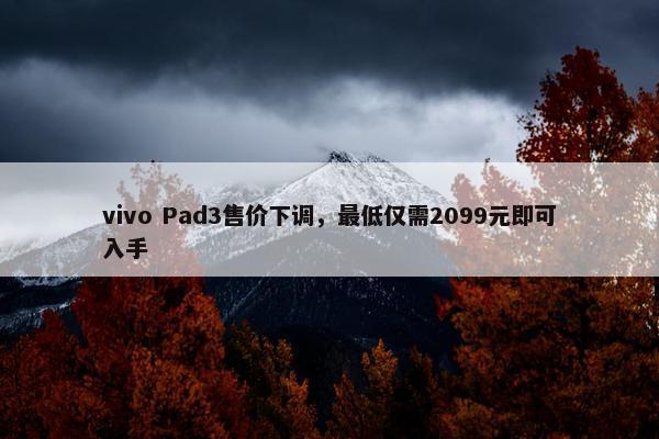 vivo Pad3售价下调，最低仅需2099元即可入手