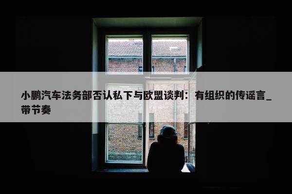 小鹏汽车法务部否认私下与欧盟谈判：有组织的传谣言_带节奏