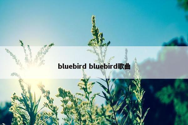 bluebird bluebird歌曲