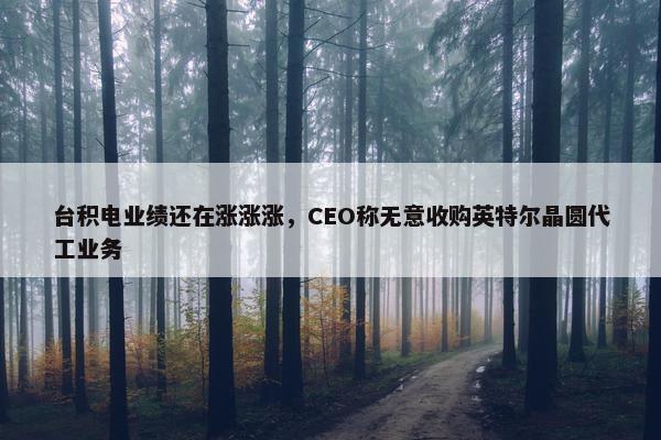 台积电业绩还在涨涨涨，CEO称无意收购英特尔晶圆代工业务