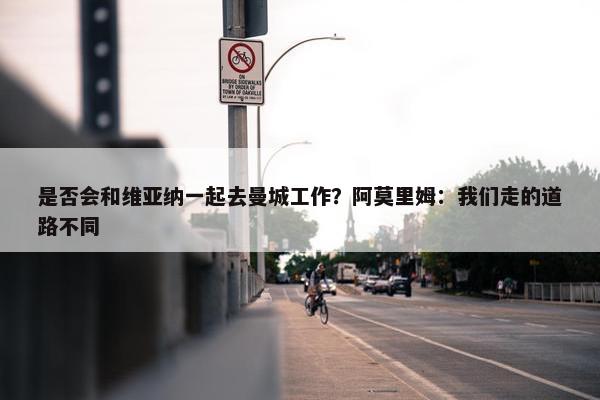 是否会和维亚纳一起去曼城工作？阿莫里姆：我们走的道路不同