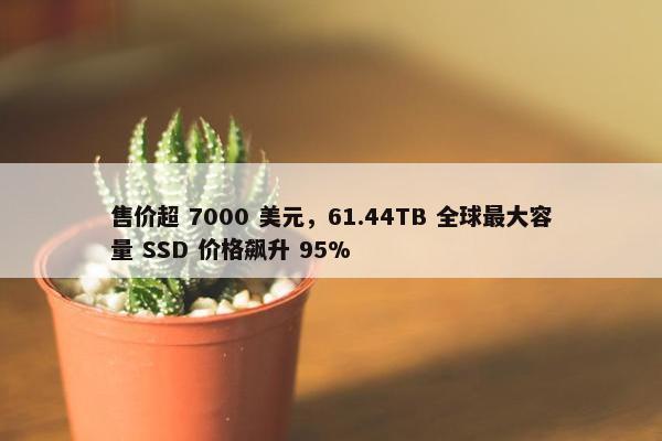 售价超 7000 美元，61.44TB 全球最大容量 SSD 价格飙升 95%