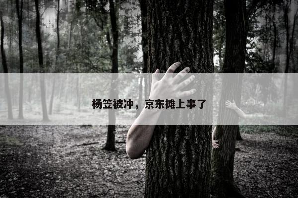 杨笠被冲，京东摊上事了