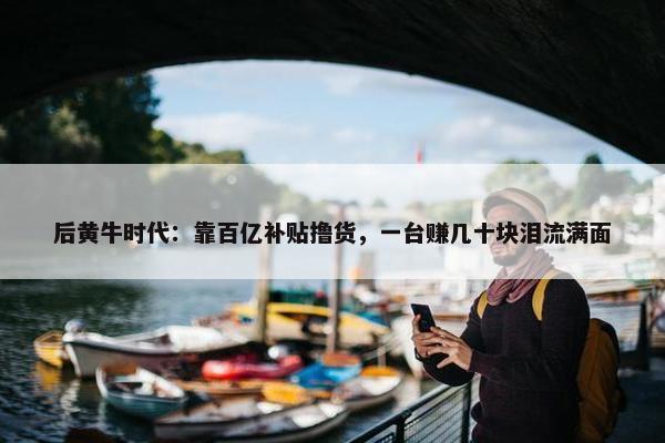 后黄牛时代：靠百亿补贴撸货，一台赚几十块泪流满面