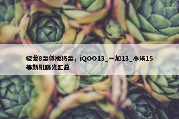 骁龙8至尊版将至，iQOO13_一加13_小米15等新机曝光汇总