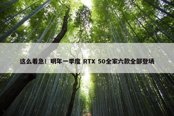 这么着急！明年一季度 RTX 50全家六款全部登场