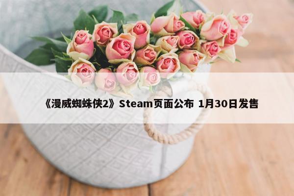 《漫威蜘蛛侠2》Steam页面公布 1月30日发售