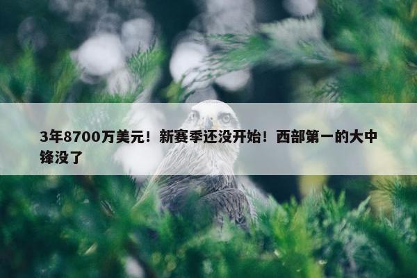 3年8700万美元！新赛季还没开始！西部第一的大中锋没了