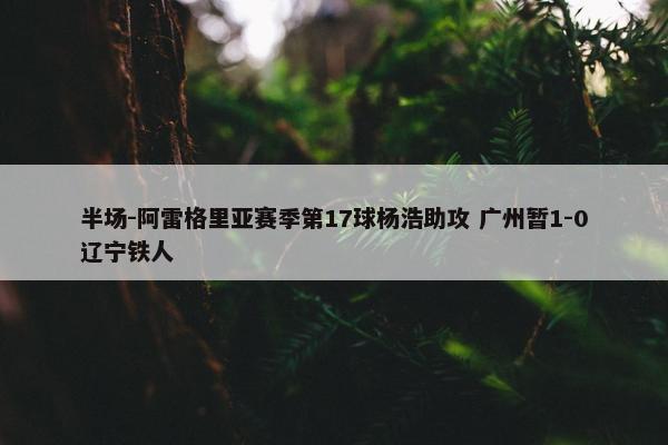 半场-阿雷格里亚赛季第17球杨浩助攻 广州暂1-0辽宁铁人