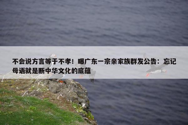 不会说方言等于不孝！曝广东一宗亲家族群发公告：忘记母语就是断中华文化的底蕴