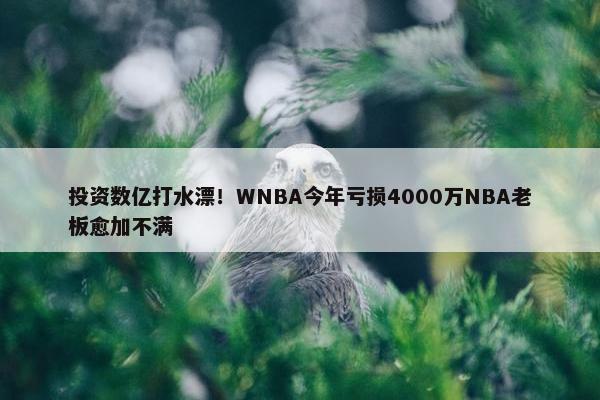 投资数亿打水漂！WNBA今年亏损4000万NBA老板愈加不满