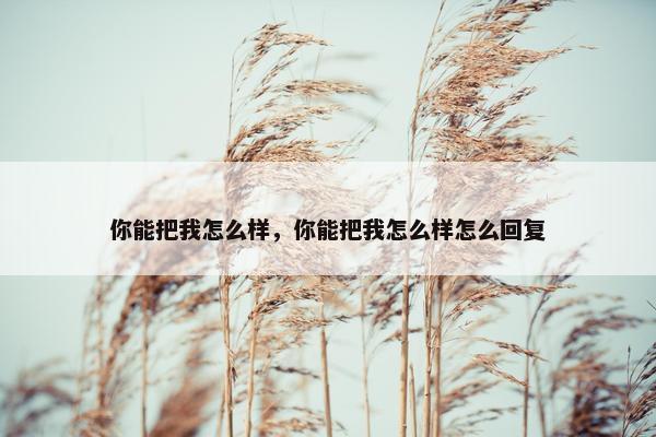 你能把我怎么样，你能把我怎么样怎么回复