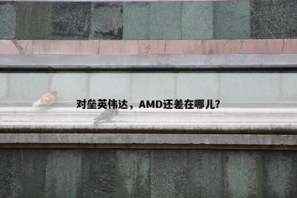 对垒英伟达，AMD还差在哪儿？