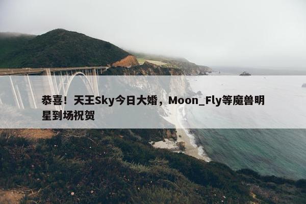 恭喜！天王Sky今日大婚，Moon_Fly等魔兽明星到场祝贺