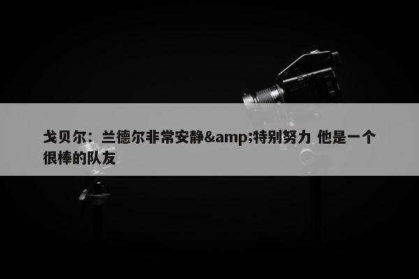 戈贝尔：兰德尔非常安静&特别努力 他是一个很棒的队友