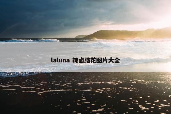 laluna 辣卤脑花图片大全