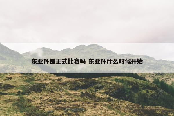 东亚杯是正式比赛吗 东亚杯什么时候开始