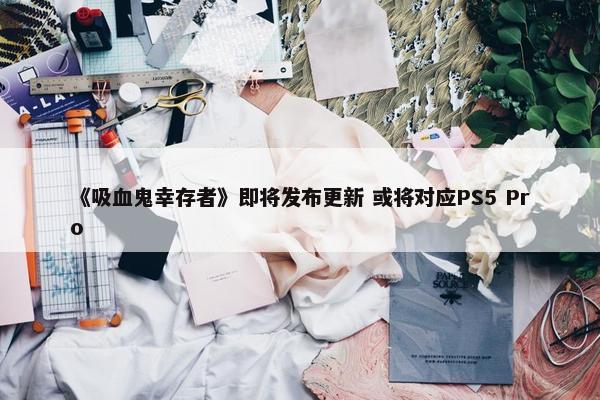 《吸血鬼幸存者》即将发布更新 或将对应PS5 Pro