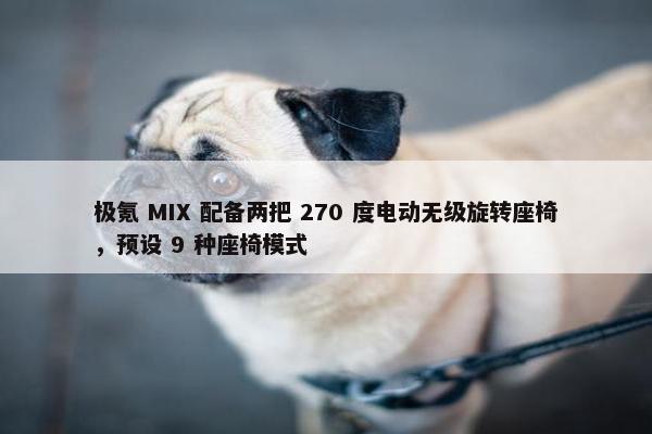 极氪 MIX 配备两把 270 度电动无级旋转座椅，预设 9 种座椅模式