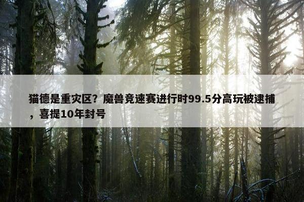 猫德是重灾区？魔兽竞速赛进行时99.5分高玩被逮捕，喜提10年封号