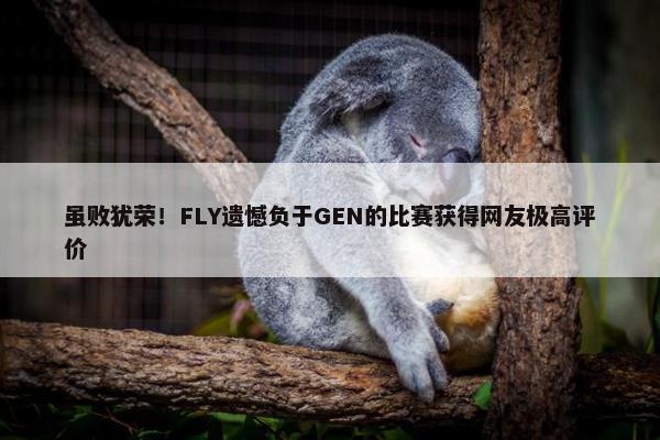 虽败犹荣！FLY遗憾负于GEN的比赛获得网友极高评价