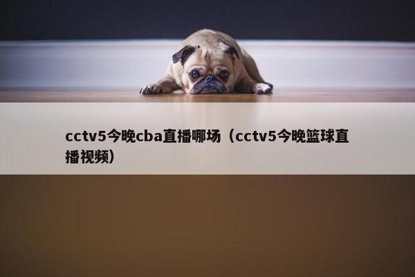 cctv5今晚cba直播哪场（cctv5今晚篮球直播视频）