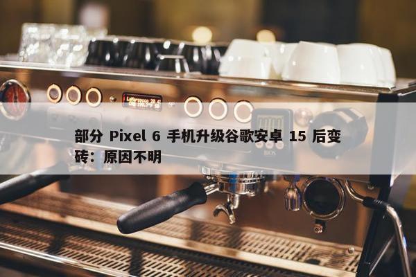 部分 Pixel 6 手机升级谷歌安卓 15 后变砖：原因不明