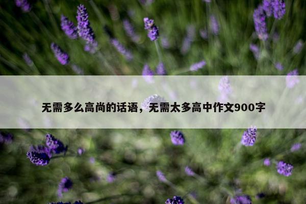 无需多么高尚的话语，无需太多高中作文900字