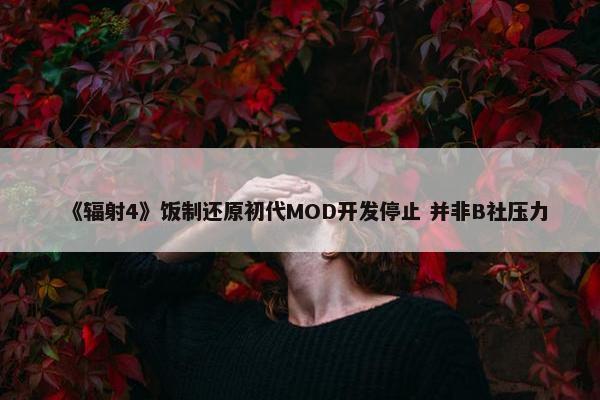 《辐射4》饭制还原初代MOD开发停止 并非B社压力