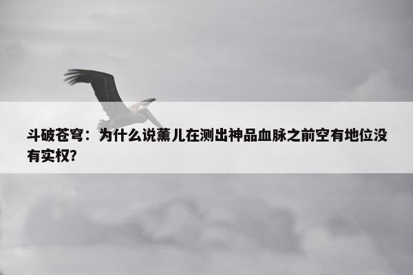 斗破苍穹：为什么说薰儿在测出神品血脉之前空有地位没有实权？