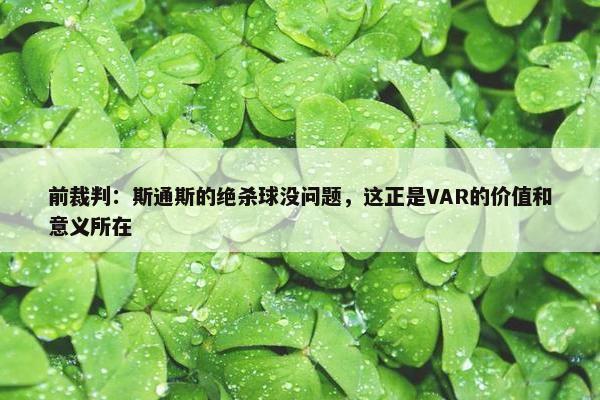 前裁判：斯通斯的绝杀球没问题，这正是VAR的价值和意义所在