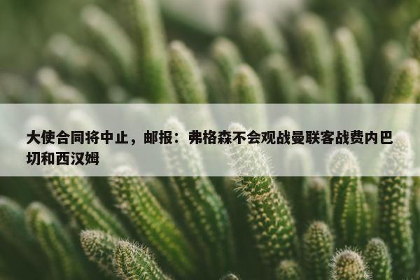 大使合同将中止，邮报：弗格森不会观战曼联客战费内巴切和西汉姆