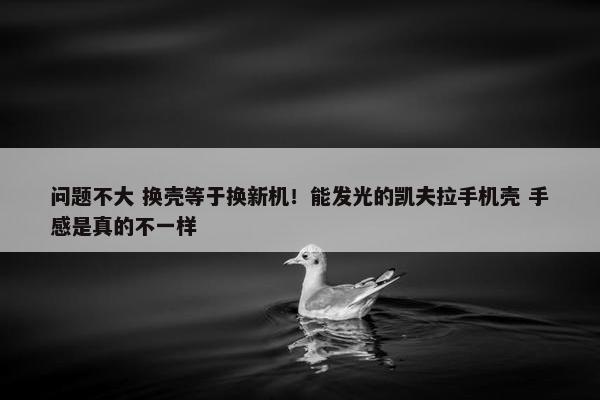 问题不大 换壳等于换新机！能发光的凯夫拉手机壳 手感是真的不一样