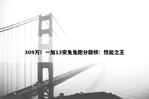 309万！一加13安兔兔跑分霸榜：性能之王