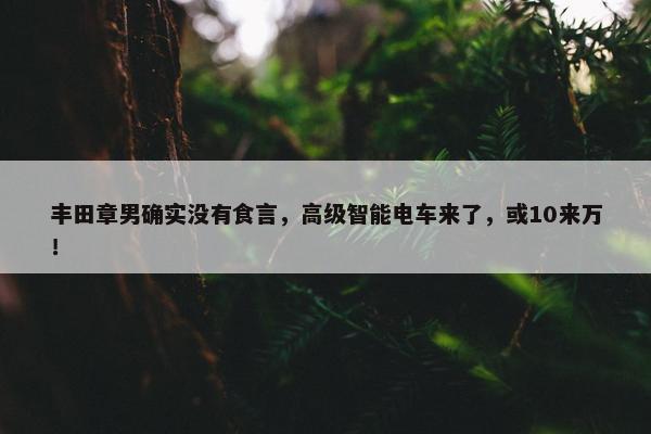 丰田章男确实没有食言，高级智能电车来了，或10来万！