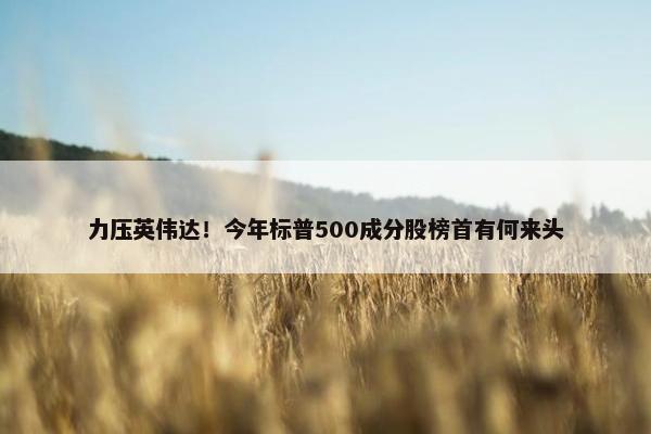 力压英伟达！今年标普500成分股榜首有何来头