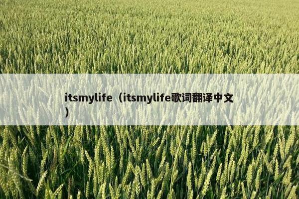 itsmylife（itsmylife歌词翻译中文）