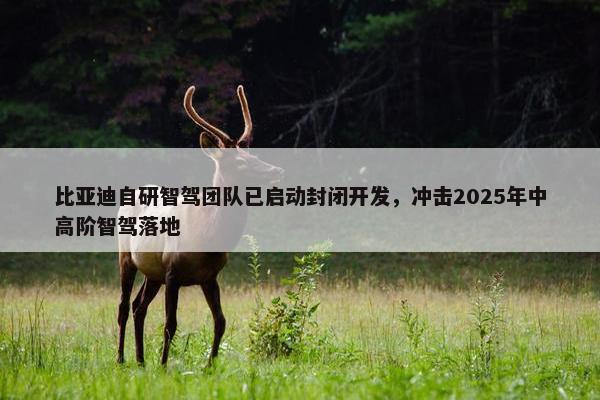 比亚迪自研智驾团队已启动封闭开发，冲击2025年中高阶智驾落地