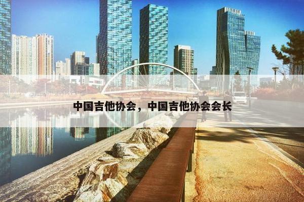 中国吉他协会，中国吉他协会会长