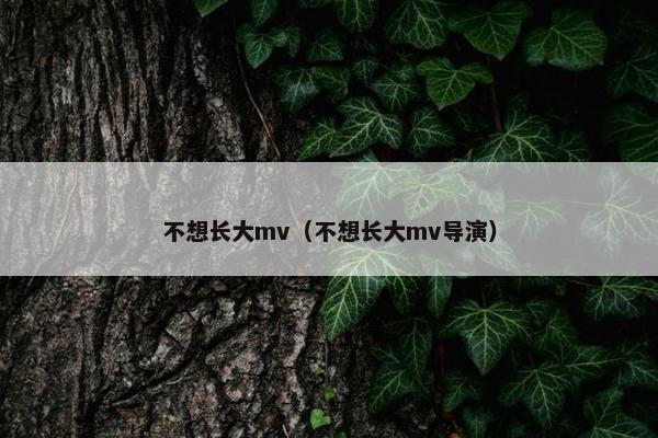 不想长大mv（不想长大mv导演）